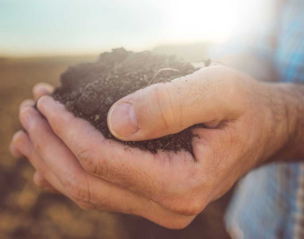 Do soil health indicators indicate soil health?